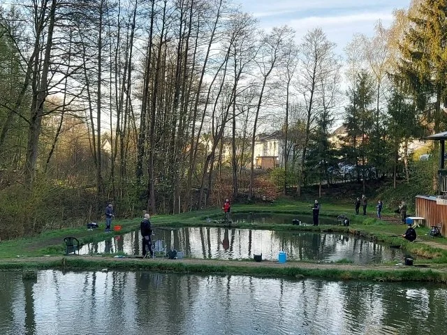 spoon-angeln-hoher-angeldruck-forellenteich Viele Angler am Forellenteich – hoher Angeldruck beim Spoon Angeln auf Forellen