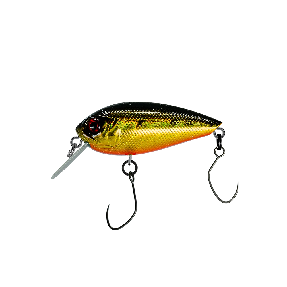 Schwarz-Gold-Orange