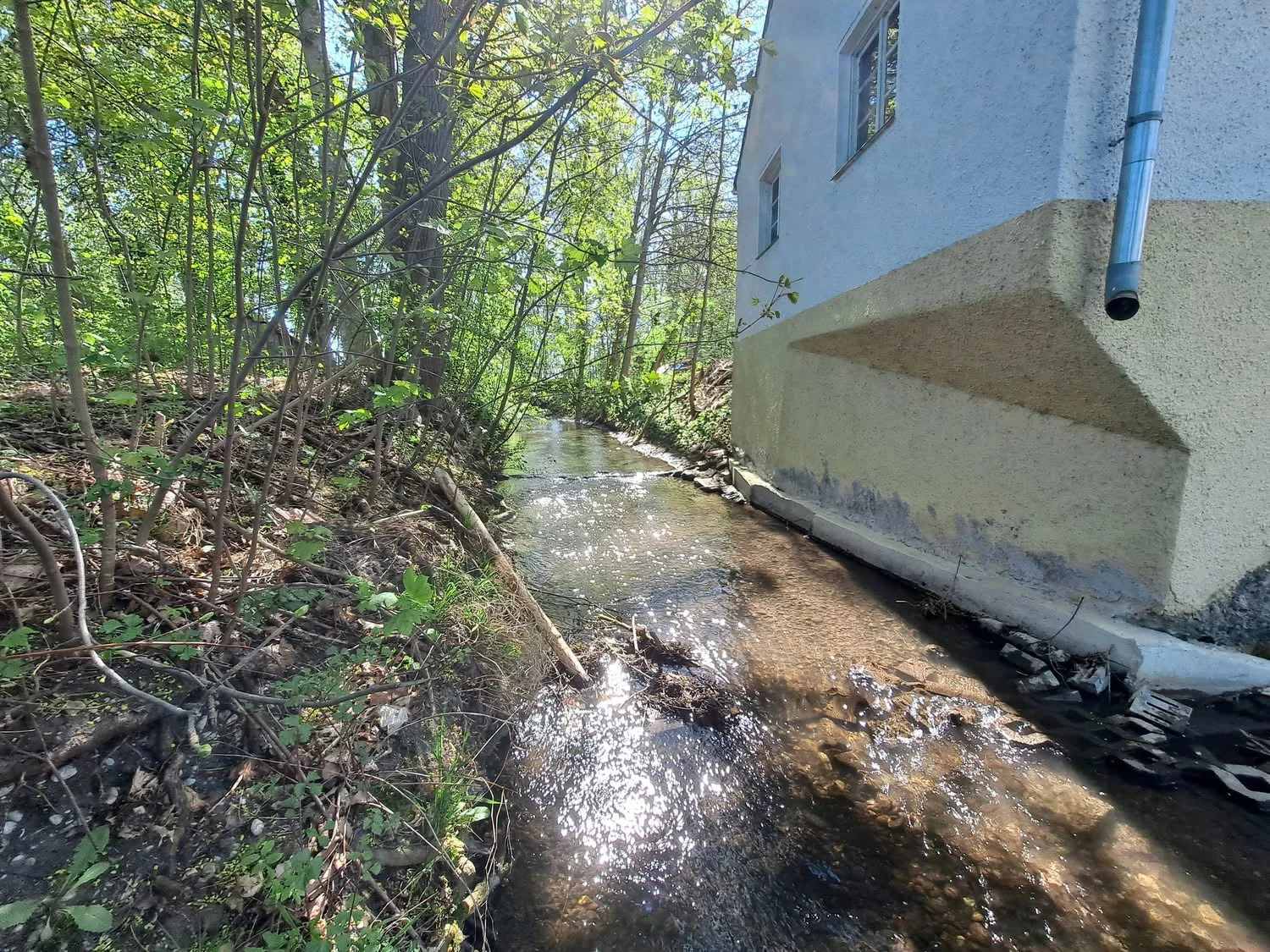 Kleiner Bach neben Gebäude