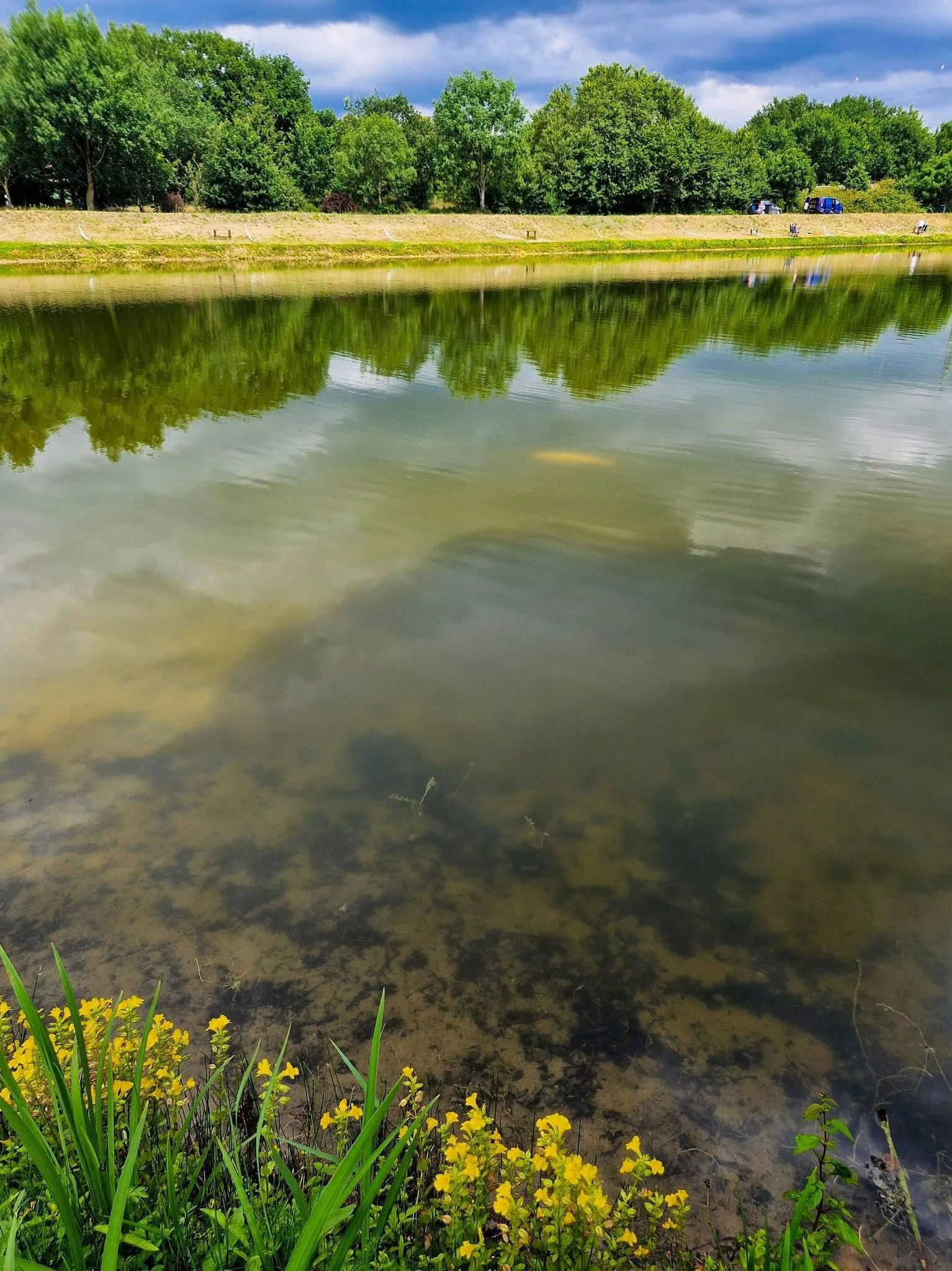 Klares flaches Wasser in einem Forellenteich