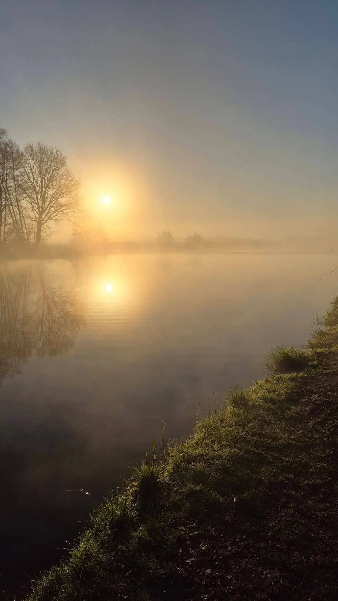 Sonnenaufgang über nebligem Teich