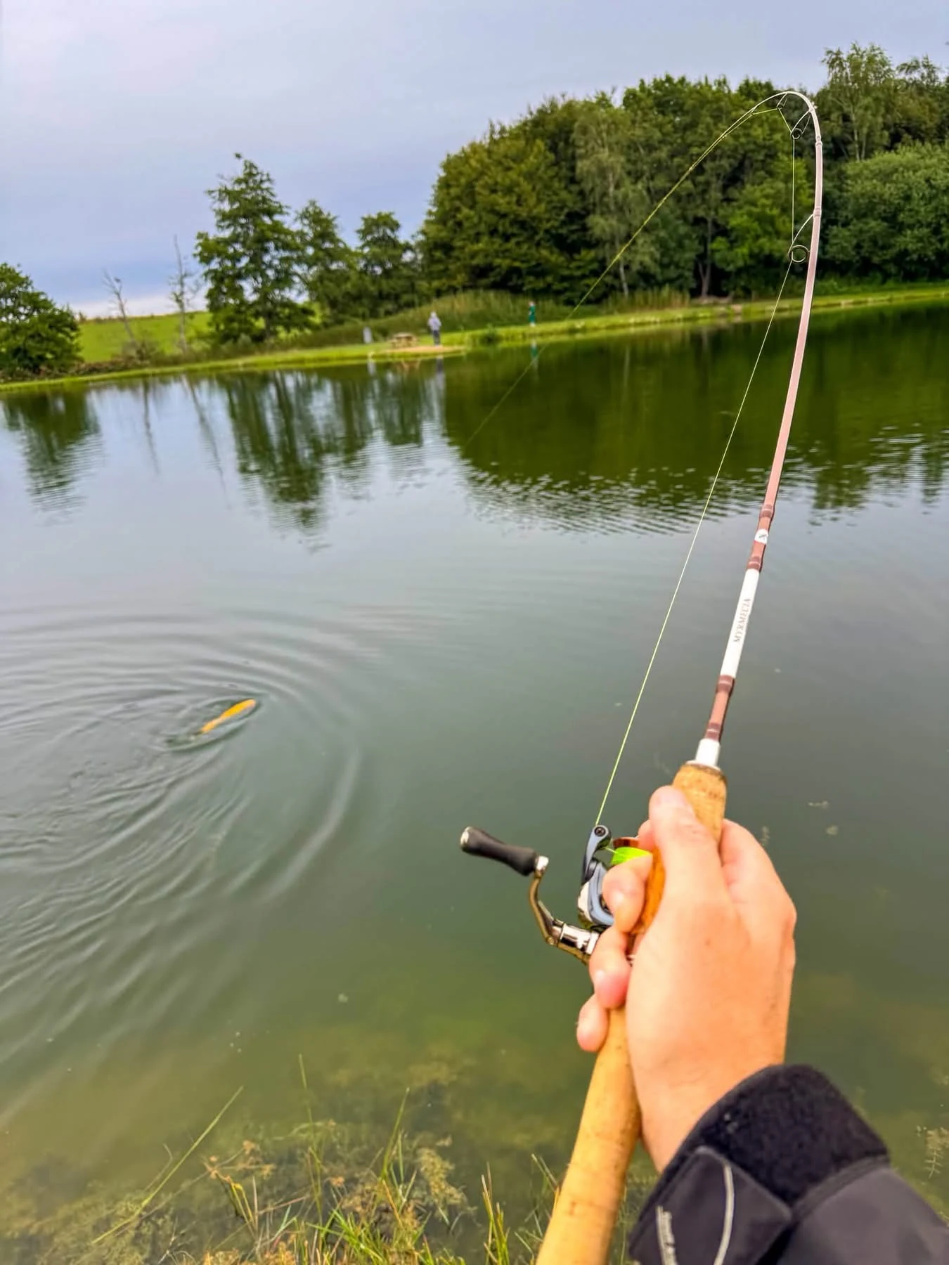 Spinnrute beim Angeln am Teich